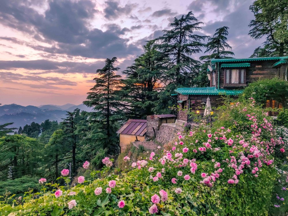 honeymoon in Mussoorie