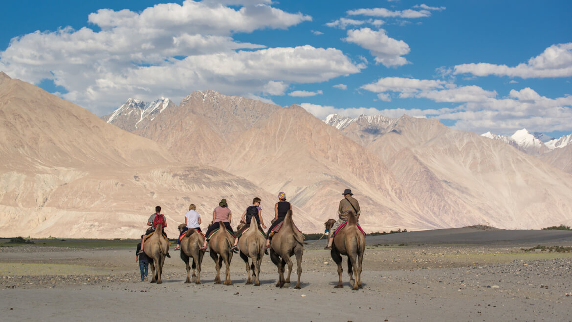 honeymooon in leh